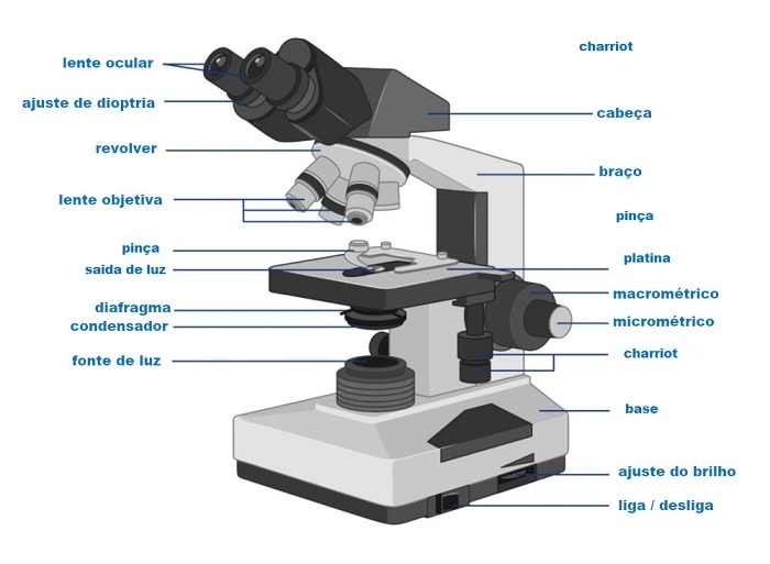 microscópio partes